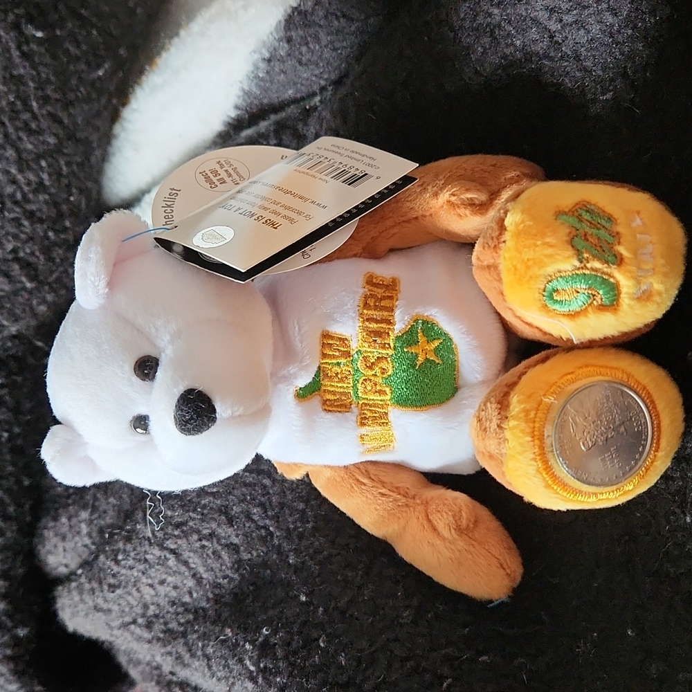 Limited Treasures coin bear,  New Hampshire with tags.